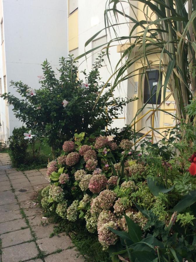 Jardim Das Flores ฟารู ภายนอก รูปภาพ